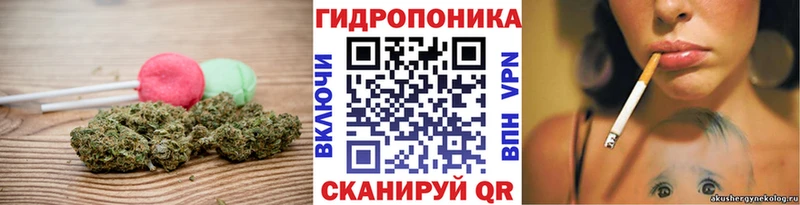 где купить наркоту  Сусуман  Cannafood марихуана 