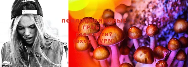 PSILOCYBIN Медногорск