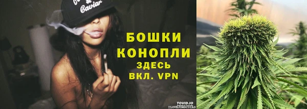 PSILOCYBIN Медногорск