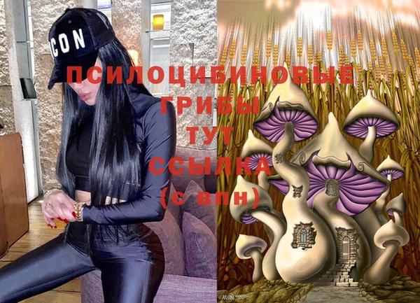 амф Медвежьегорск
