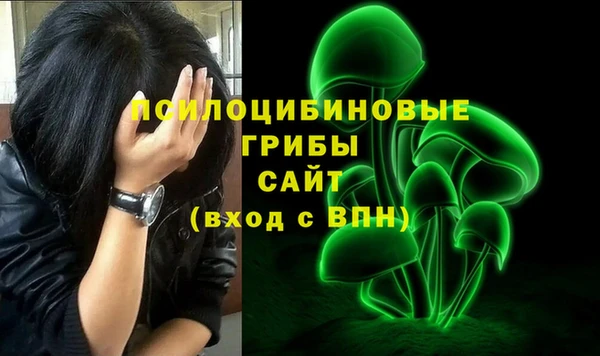 амф Медвежьегорск