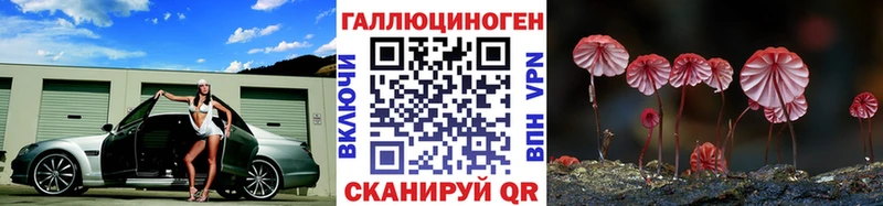 Псилоцибиновые грибы Magic Shrooms  Сусуман 